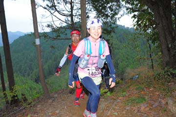 hase71k2015_1425