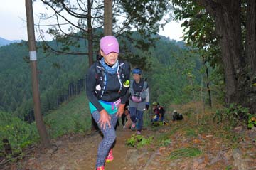 hase71k2015_1517