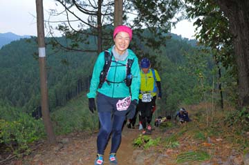 hase71k2015_1547