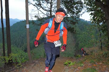 hase71k2015_1595