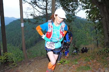 hase71k2015_1599