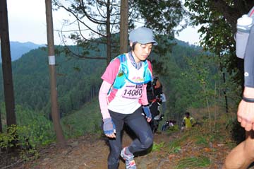 hase71k2015_1607