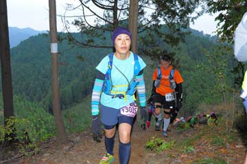 hase71k2015_1661