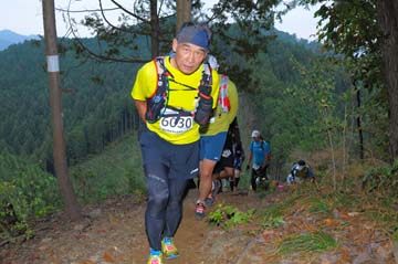hase71k2015_1695