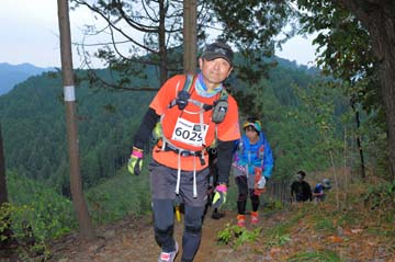 hase71k2015_1761