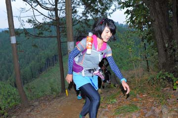 hase71k2015_1777