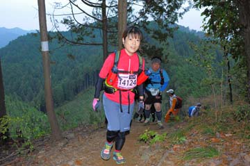 hase71k2015_1870