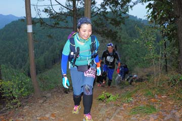 hase71k2015_1950