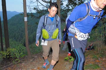 hase71k2015_1952