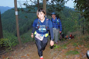 hase71k2015_1953