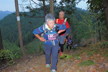 hase71k2015_1956