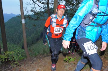 hase71k2015_1959
