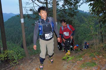 hase71k2015_1963
