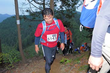 hase71k2015_1964