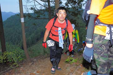 hase71k2015_1966