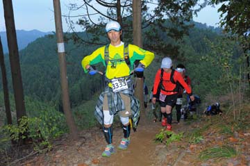 hase71k2015_1967