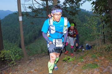 hase71k2015_1980