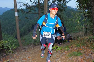 hase71k2015_1982