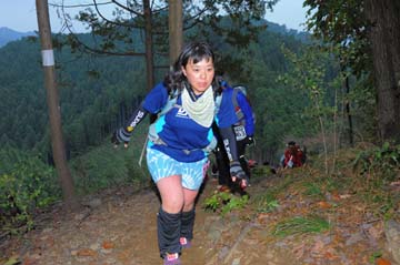 hase71k2015_1983