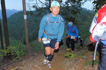 hase71k2015_1984