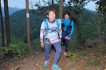 hase71k2015_1993