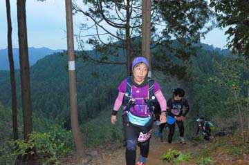 hase71k2015_1995