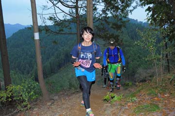 hase71k2015_1996