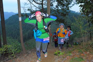 hase71k2015_2018